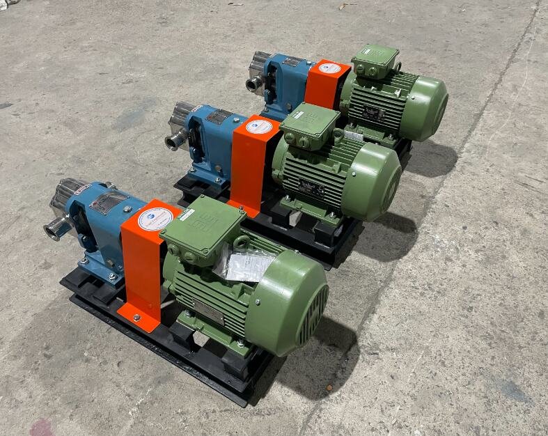 SS316 Lobe Pumps Export in Saudi Arabia